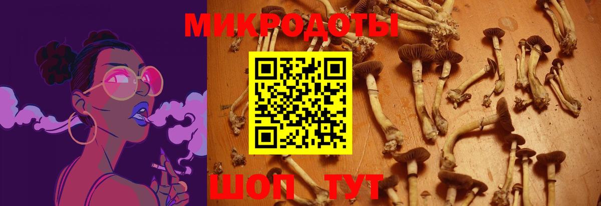 Алейск  Псилоцибиновые грибы Psilocybe  Вход с VPN  Галлюциногенные грибы GOLDEN TEACHER 